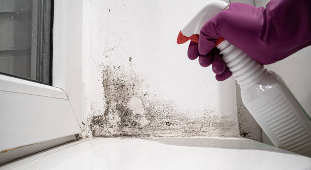 Water damage restoration insurance claims in North Puyallup, WA